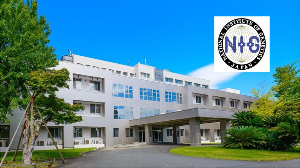 NIG Internship Program in Japan 2025 | Fully Funded