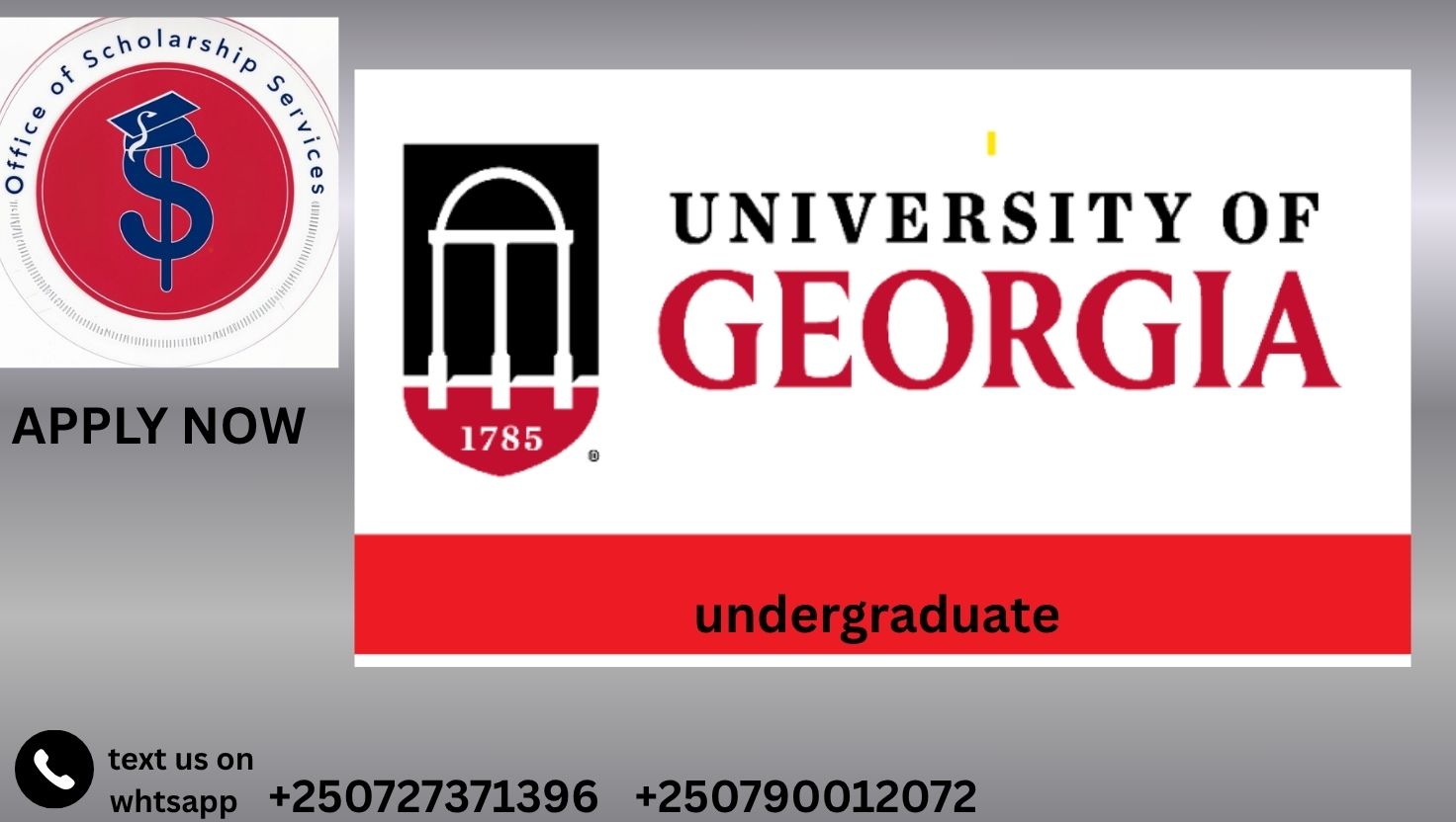 University of Georgia Scholarships 2025–2026 (Fully Funded) | Study in the USA