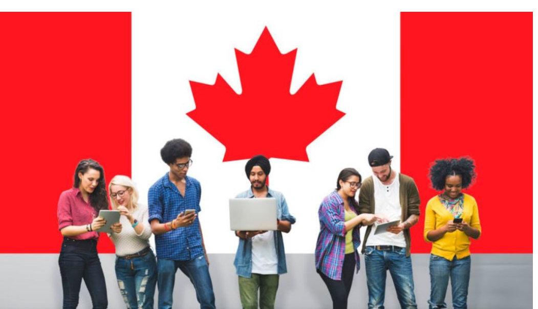 Canada National Scholarship Program for Undergraduates 2025 | How To Apply