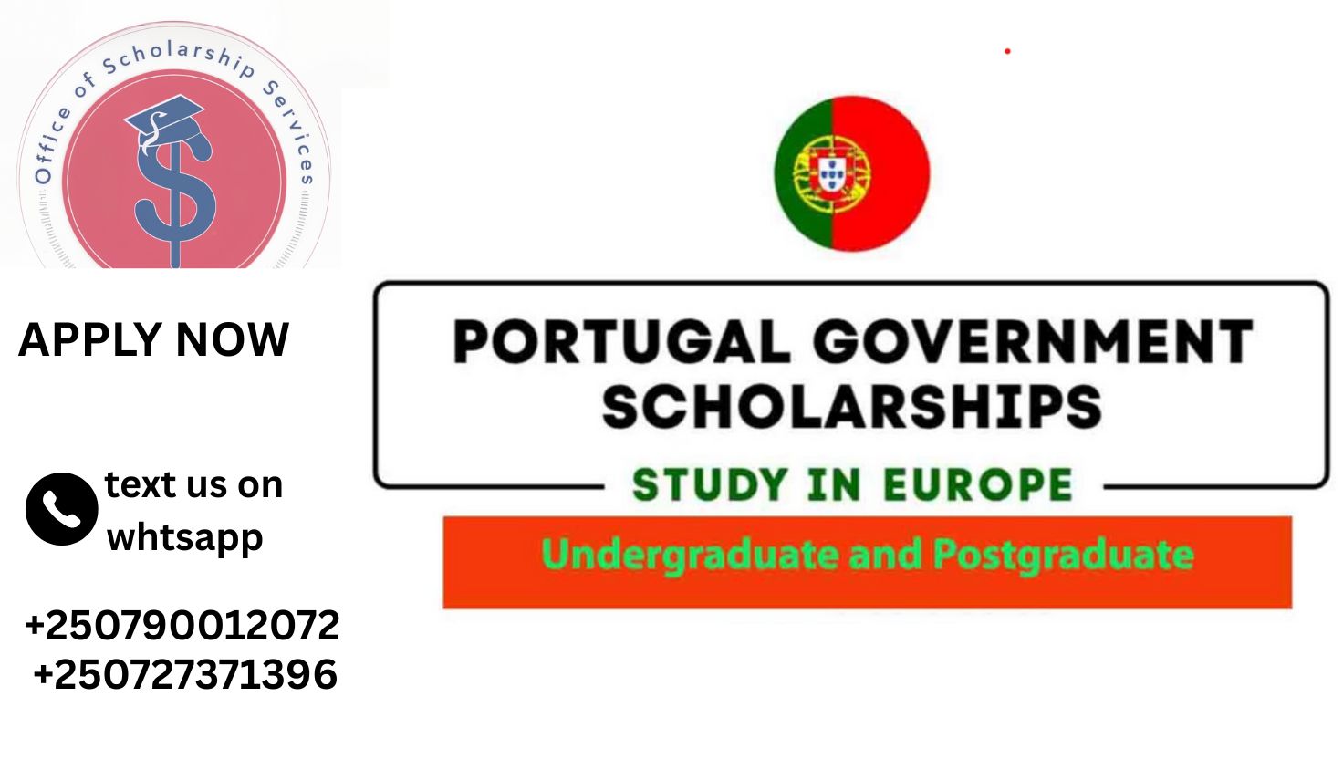 Portugal Government Scholarship 2025 | Fully Funded