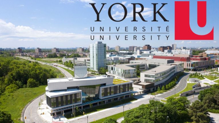 2025 York University Graduate Scholarship in Canada | Fully Funded