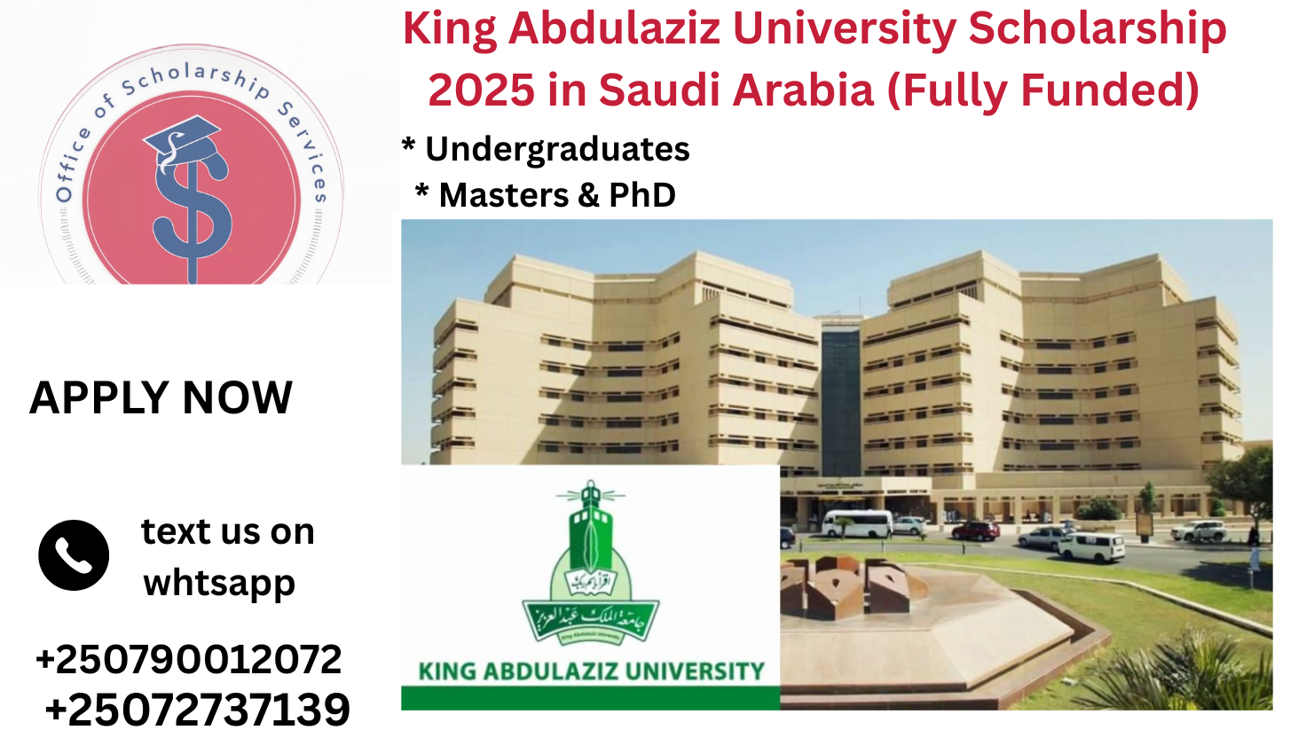  Fully Funded King Abdulaziz University Scholarship 2025 in Saudi Arabia