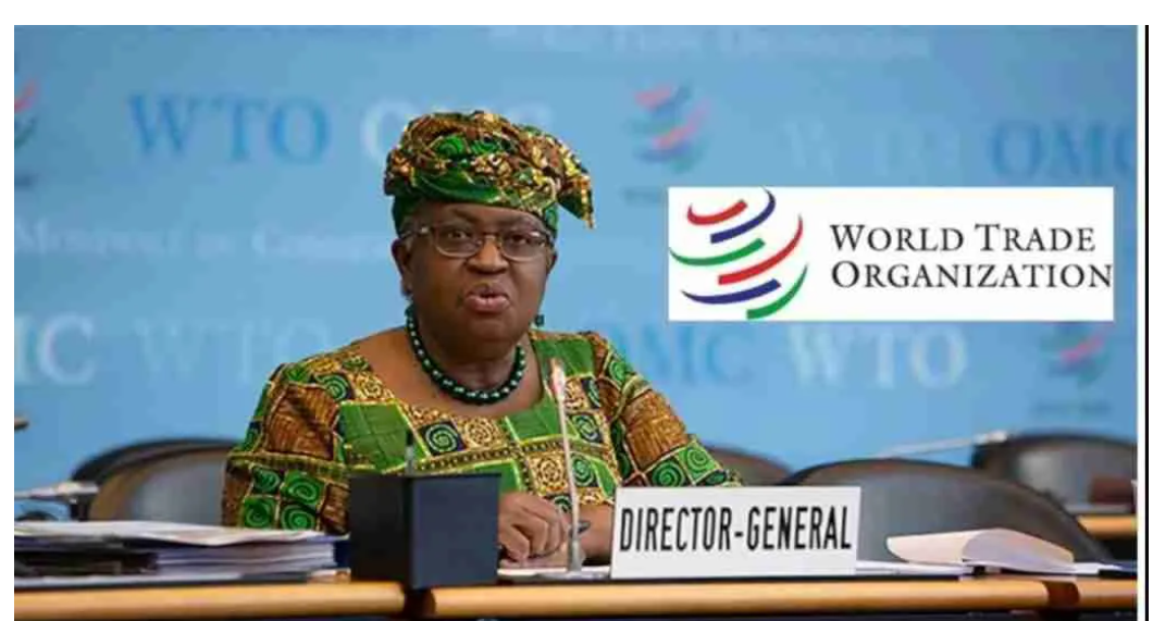 2025 WTO Internship Program (World Trade Organization) | Step-by-Step Process