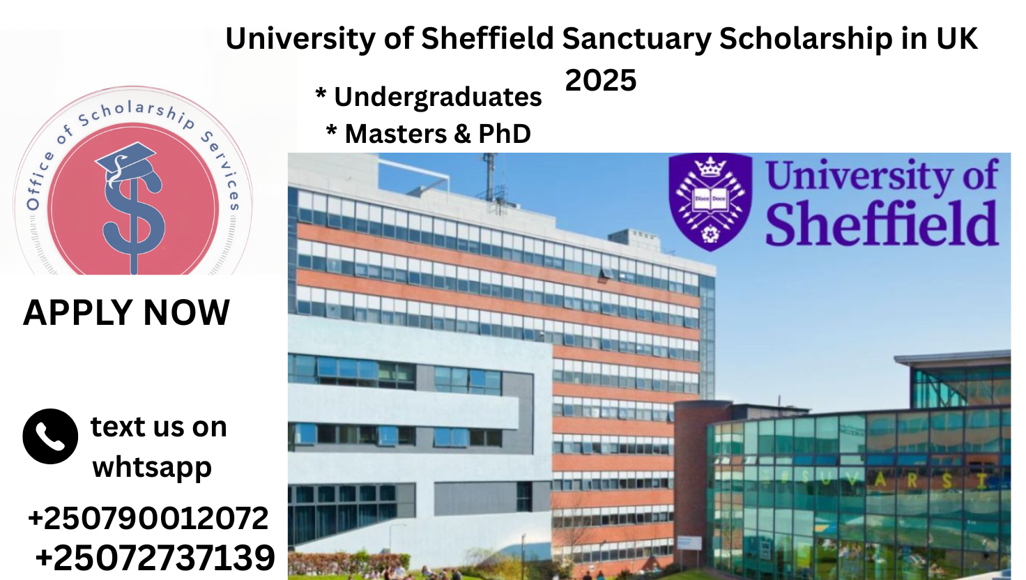 University of Sheffield Sanctuary Scholarship in UK 2025 