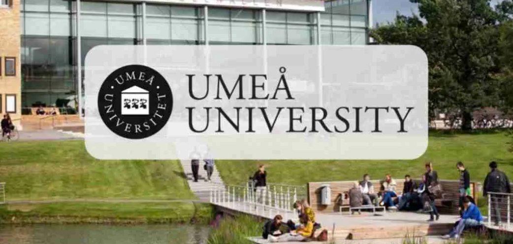 2025 Umea University Scholarship in Sweden | Step-by-Step Process