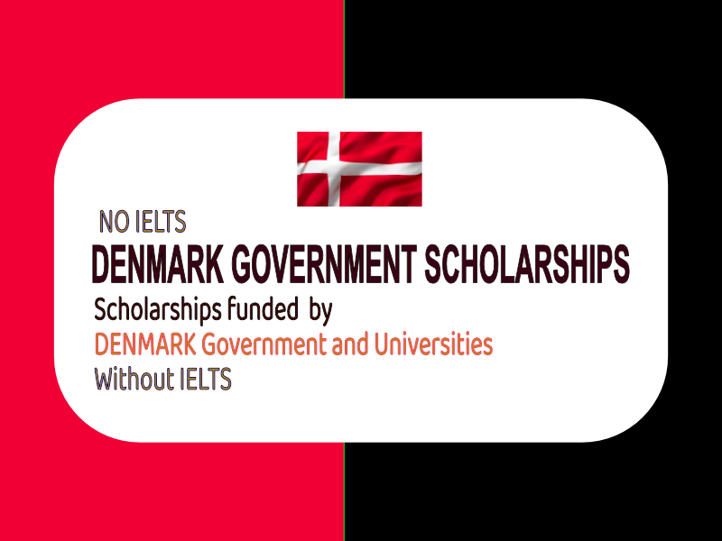 Danish Government Scholarship 2025